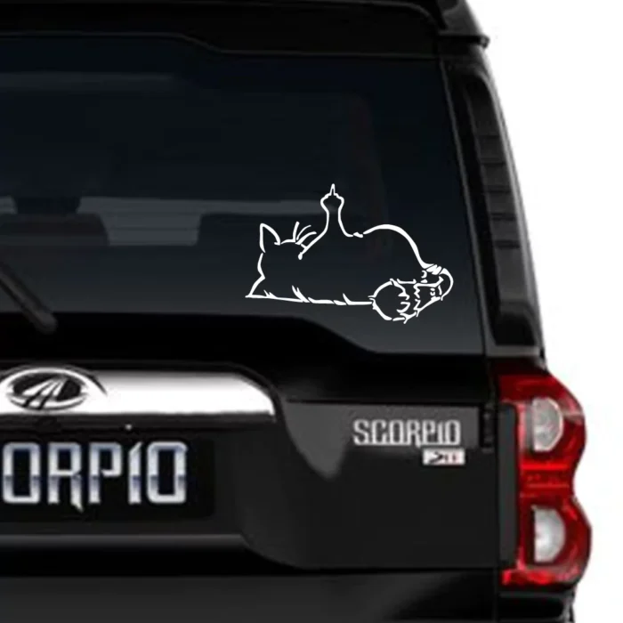 Car window sticker online for sell
